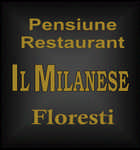Restaurnt Il Milanese Floresti